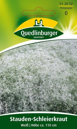 Stauden schleierkraut weiß - stauden-schleierkraut,