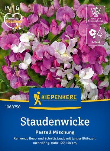 Staudenwicke pastell mischung - staudenwicke,