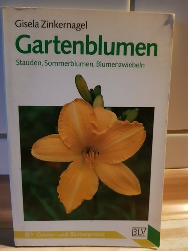 Gartenblumen stauden - gartenblumen,