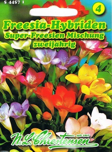Mhd 2027 freesia - mhd,