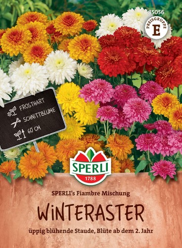 Winteraster fiambre mix - ",