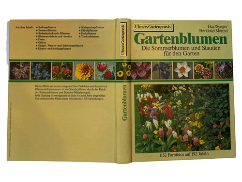 Sommerblumen stauden - sommerblumen,