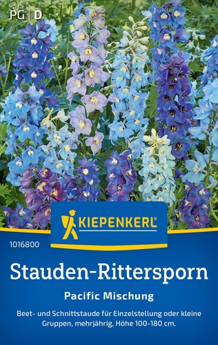 Stauden rittersporn - stauden-rittersporn, "