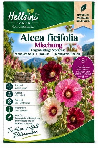 Feigenblättrige stockrose - feigenblättrige,