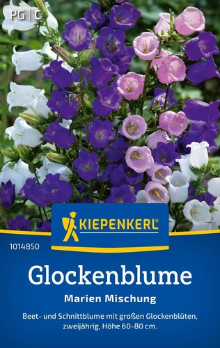 Glockenblume marien mischung - marien,