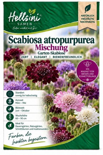 Garten skabiose scabiosa - garten-skabiose,