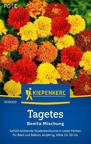 Tagetes bonita mischung - tagetes, bonita-mischung