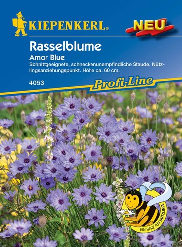 Mhd 2026 rasselblume - ,
