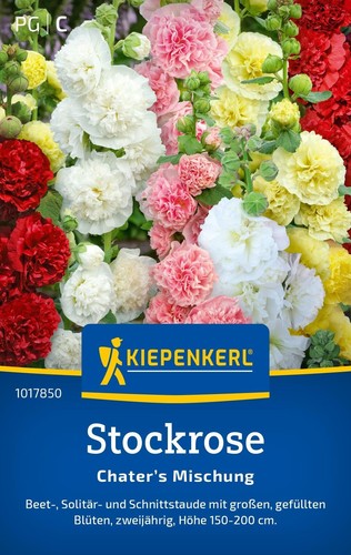 Stockrose gefüllte mischung - stockrose, "